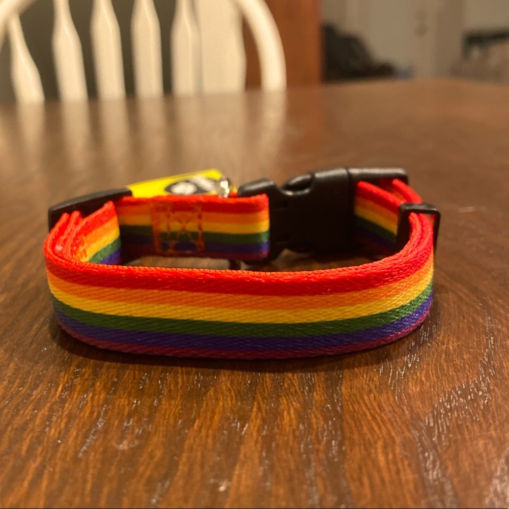 🌈 Rainbow Small Dog Collar 🌈 🐶